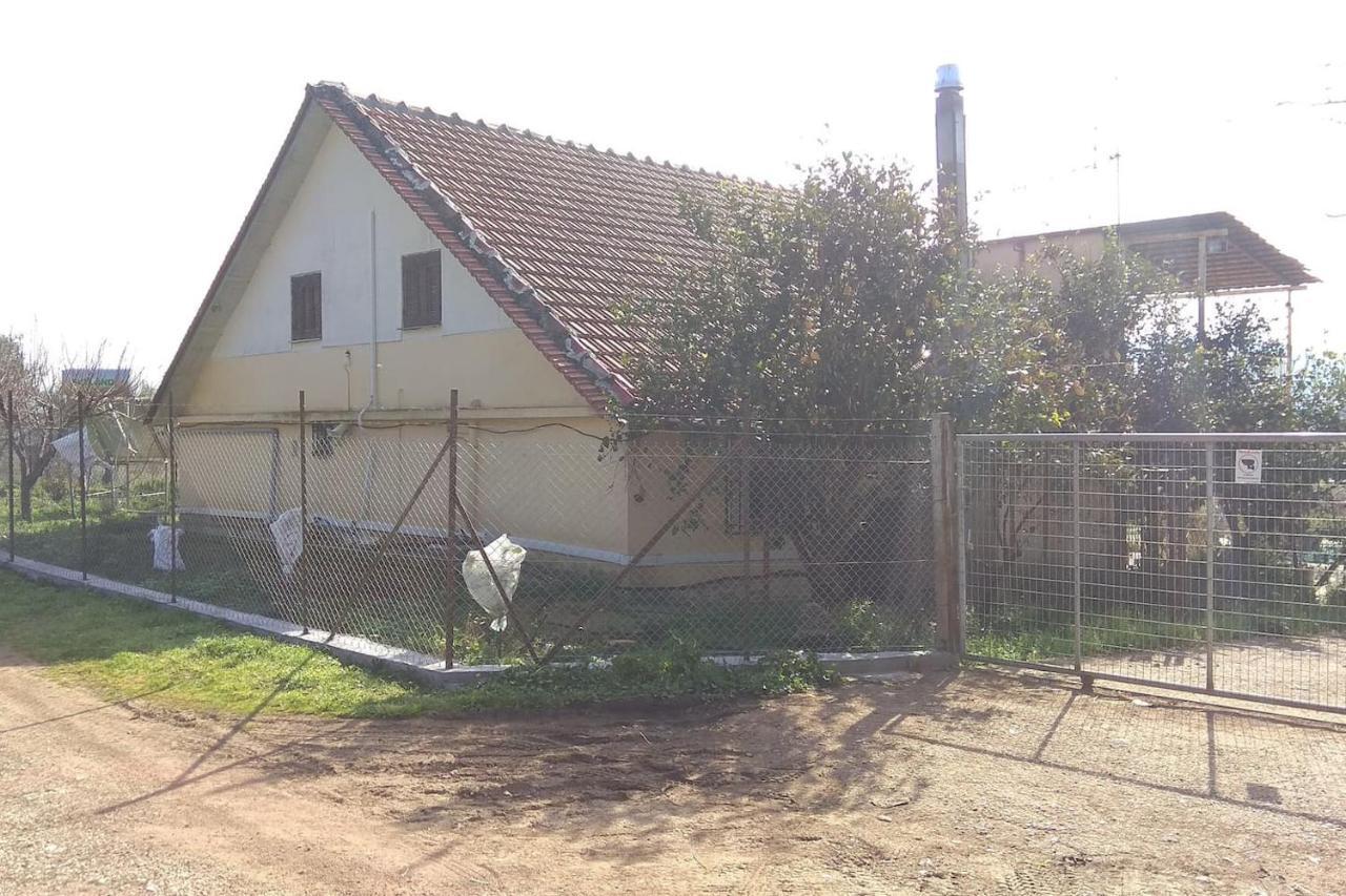 Mallios Country House Near Olümpia Kültér fotó