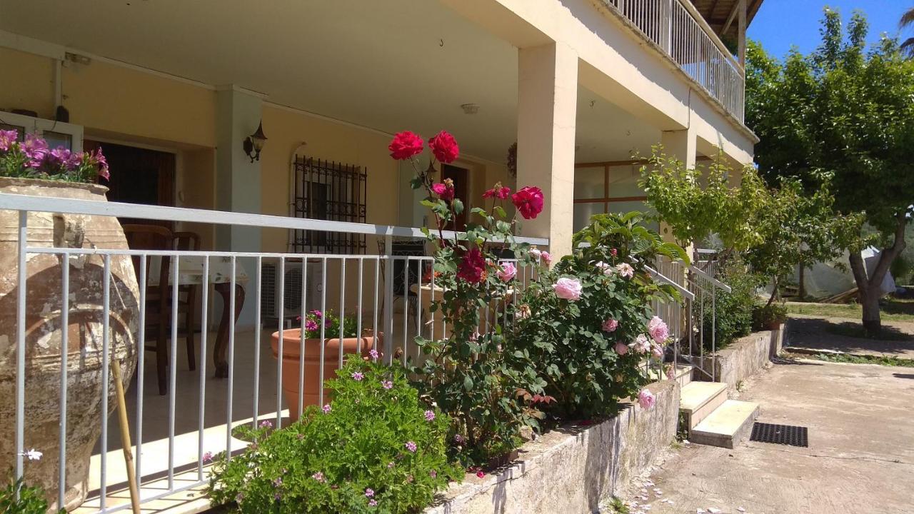 Mallios Country House Near Olümpia Kültér fotó